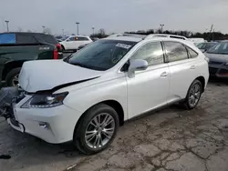 Salvage cars for sale at Indianapolis, IN auction: 2014 Lexus RX 350 Base