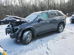 2021 Toyota Rav4 XLE en venta en Cookstown, ON