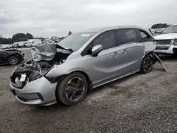 Salvage cars for sale at Lumberton, NC auction: 2024 Honda Odyssey Elite