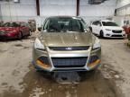 2013 Ford Escape S