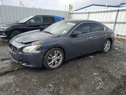 Nissan salvage cars for sale: 2012 Nissan Maxima S