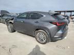 2024 Lexus NX 250 Premium