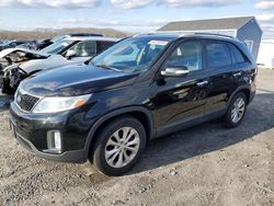 KIA salvage cars for sale: 2015 KIA Sorento EX