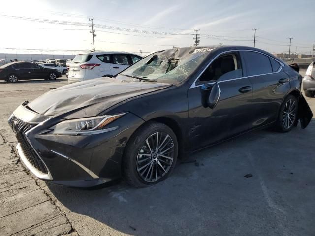 2024 Lexus ES 300H Base