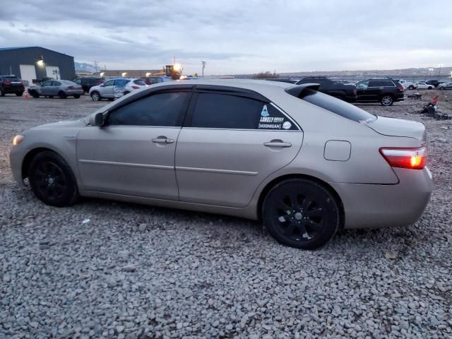 2009 Toyota Camry Hybrid