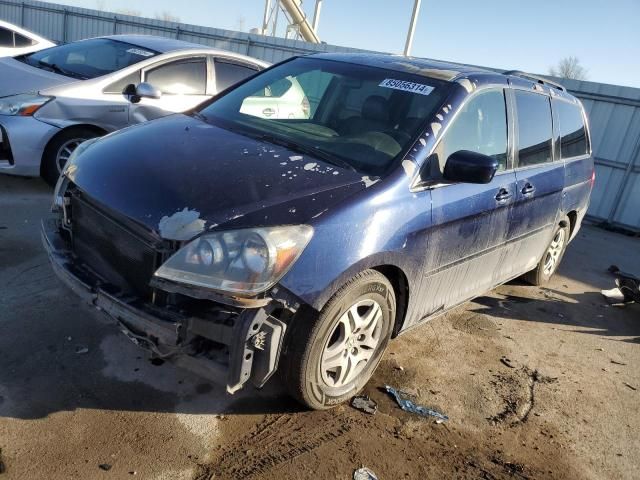 2005 Honda Odyssey EXL