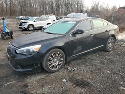 KIA Cadenza salvage cars for sale: 2015 KIA Cadenza Premium