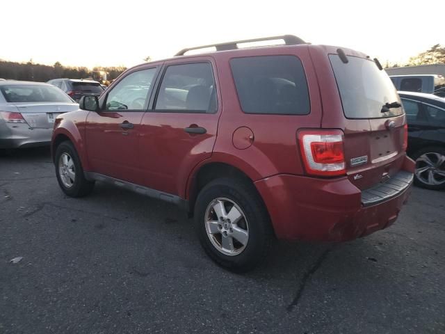 2011 Ford Escape XLT