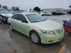 2007 Toyota Camry Hybrid