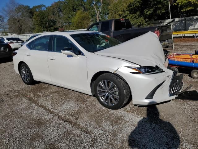 2019 Lexus ES 350