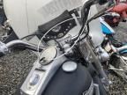 2003 Harley-Davidson Flstci