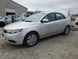 Salvage cars for sale at Lawrenceburg, KY auction: 2013 KIA Forte LX