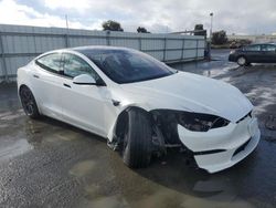 Salvage cars for sale at Martinez, CA auction: 2023 Tesla Model S