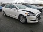 2014 Ford Fusion Titanium Phev