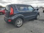 2012 KIA Soul +