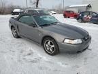 2003 Ford Mustang