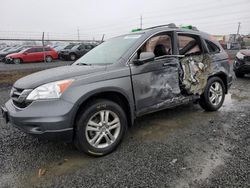 Salvage cars for sale at Eugene, OR auction: 2010 Honda CR-V EXL