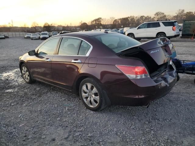 2010 Honda Accord EXL