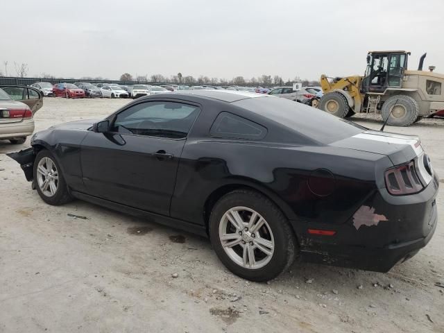 2013 Ford Mustang