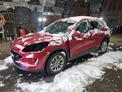 Ford Escape salvage cars for sale: 2020 Ford Escape SE