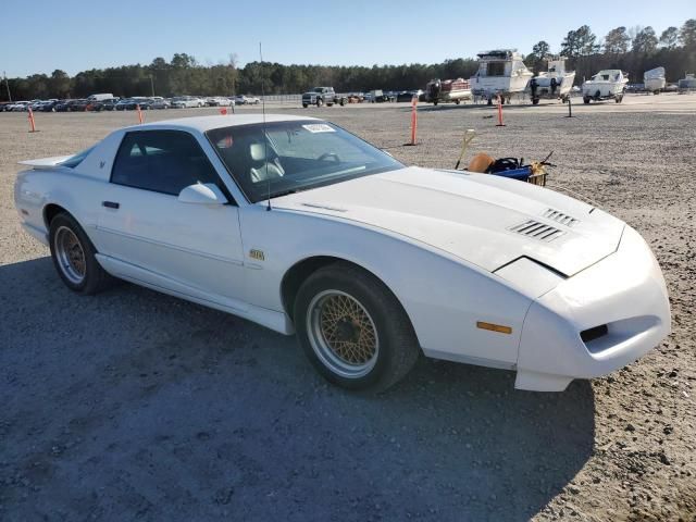 1991 Pontiac Firebird Trans AM