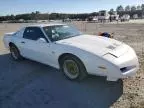 1991 Pontiac Firebird Trans AM