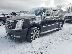 Cadillac Vehiculos salvage en venta: 2008 Cadillac Escalade Luxury