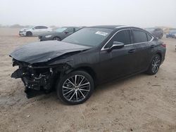 Lexus salvage cars for sale: 2024 Lexus ES 350 Base