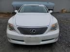 2007 Lexus LS 460