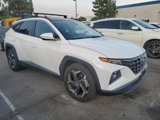 2023 Hyundai Tucson Limited