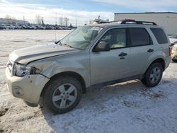 2010 Ford Escape XLT en venta en Rocky View County, AB