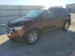 Salvage cars for sale at Arcadia, FL auction: 2011 Ford Edge SE