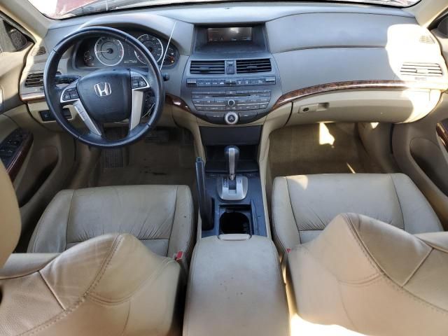 2010 Honda Accord EXL