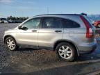 2007 Honda CR-V EX