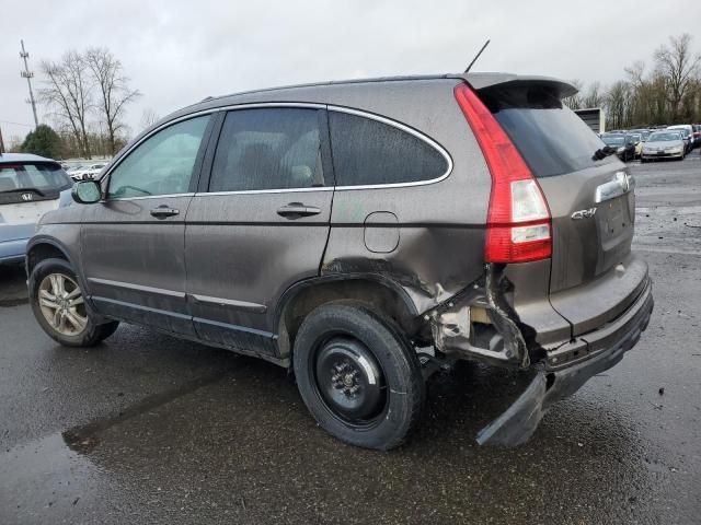 2010 Honda CR-V EXL