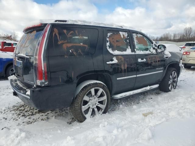 2008 Cadillac Escalade Luxury