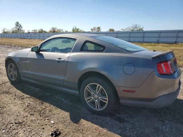 2010 Ford Mustang