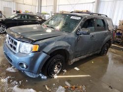 Ford Escape Vehiculos salvage en venta: 2012 Ford Escape XLT