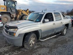 Chevrolet Avalanche salvage cars for sale: 2005 Chevrolet Avalanche K1500