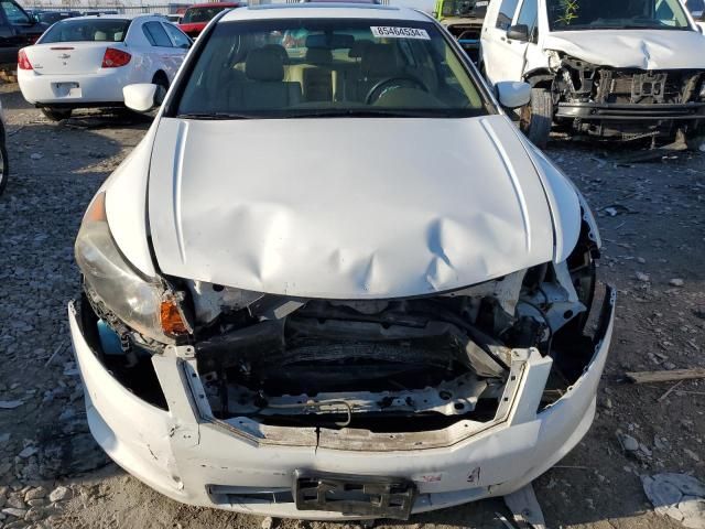 2008 Honda Accord EXL