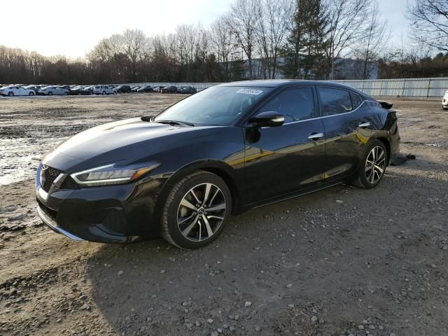 2023 Nissan Maxima SV