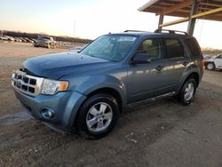 Ford salvage cars for sale: 2012 Ford Escape XLT