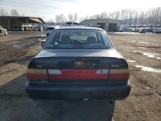 1996 Toyota Corolla DX