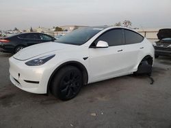 Salvage cars for sale at auction: 2024 Tesla Model Y