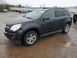 Chevrolet Equinox lt Vehiculos salvage en venta: 2013 Chevrolet Equinox LT