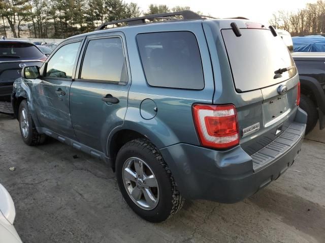 2011 Ford Escape XLT