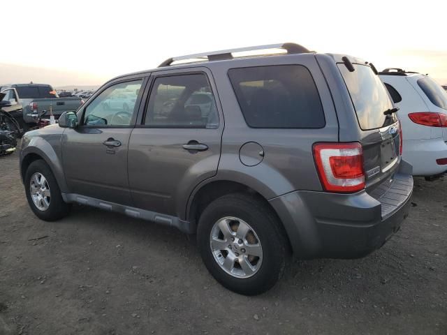 2011 Ford Escape Limited