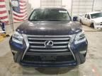 2017 Lexus GX 460