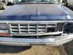 1984 Dodge W-SERIES W150