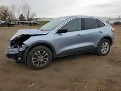 Ford Escape Vehiculos salvage en venta: 2022 Ford Escape SE